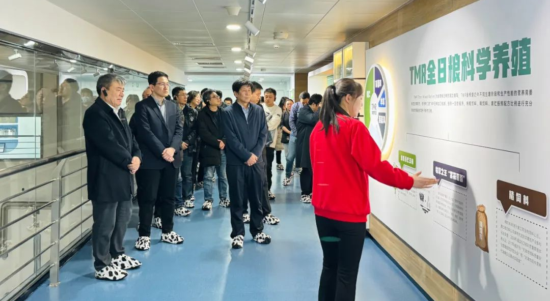 供稿：天津龙腾国际投资集团有限公司